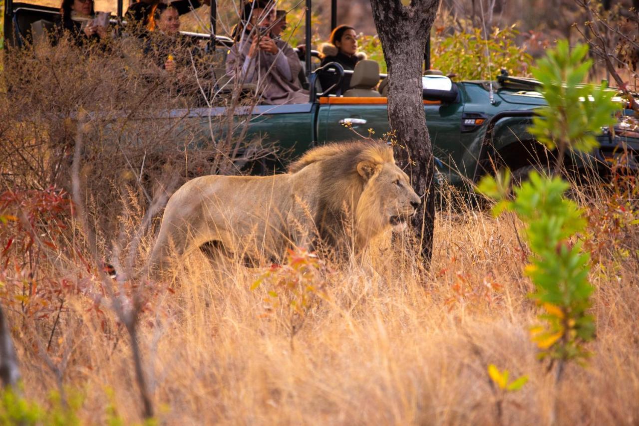 Nungubane Game Lodge Заповедник Велгевонден Экстерьер фото